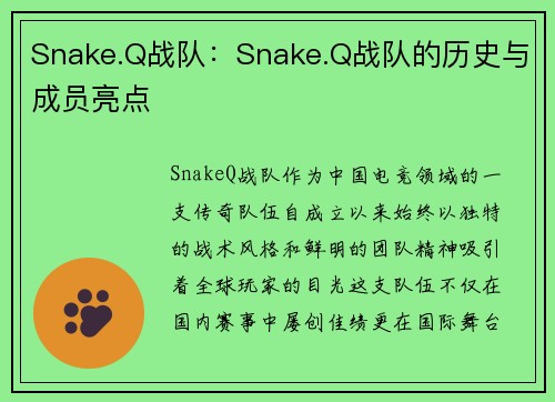 Snake.Q战队：Snake.Q战队的历史与成员亮点