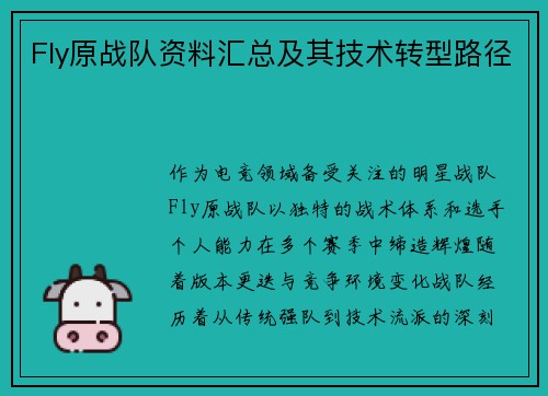Fly原战队资料汇总及其技术转型路径